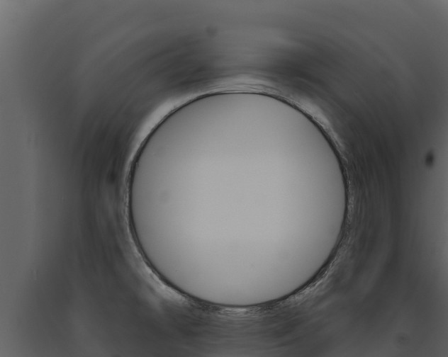 X0000091721478200708241008
