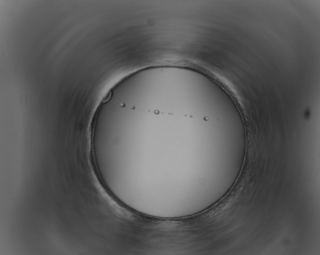X0000091721479200708241008