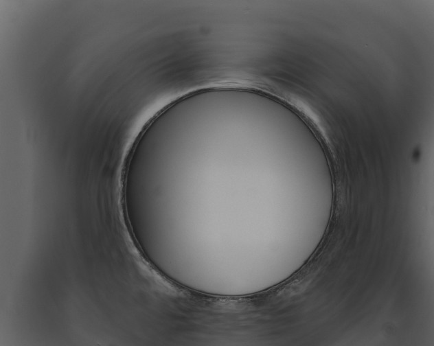 X0000091721480200708241008
