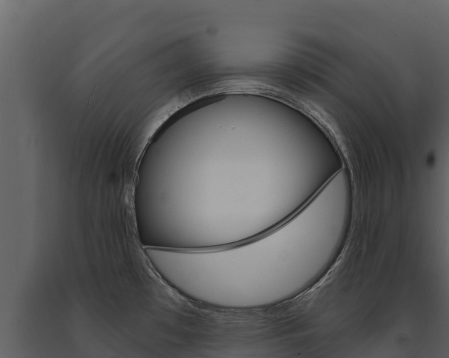 X0000091721481200708241008