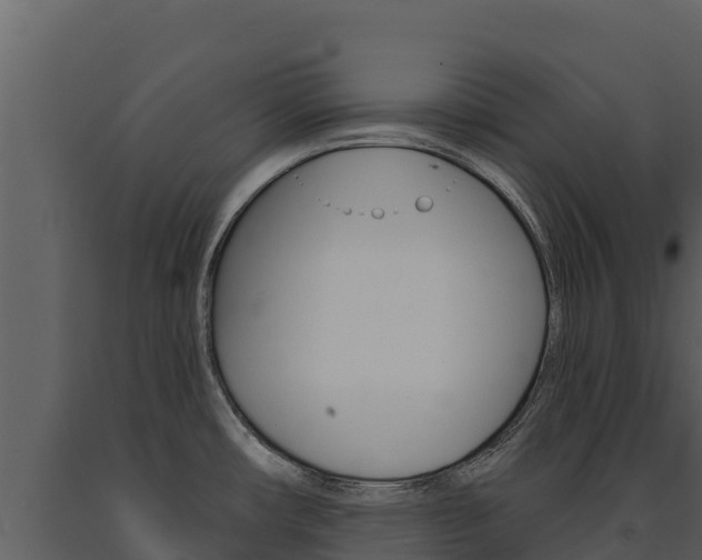 X0000091721482200708241008