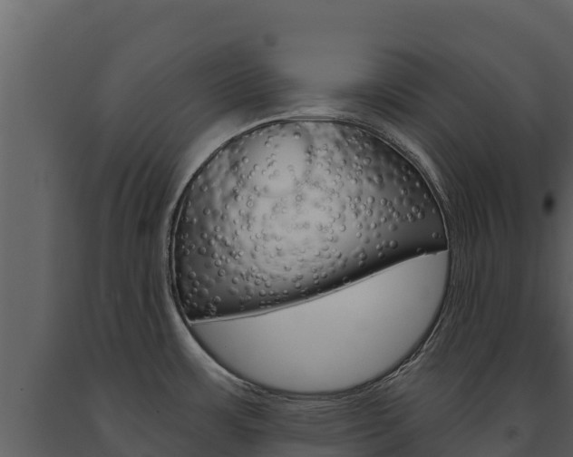 X0000091721483200708241008
