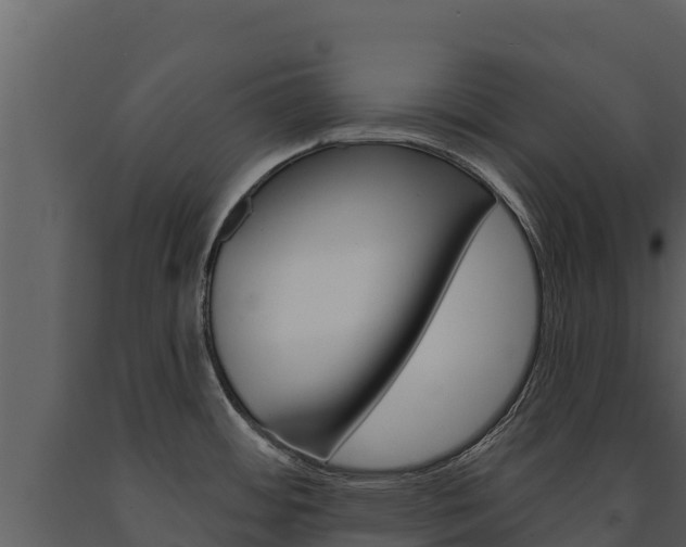X0000091721484200708241008