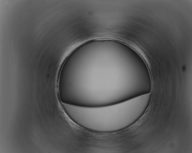 X0000091721485200708241008
