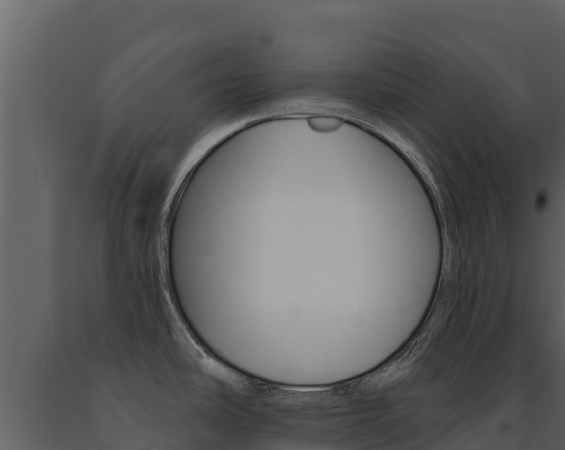 X0000091721486200708241007