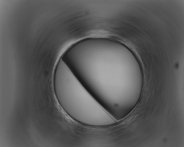X0000091721488200708241007