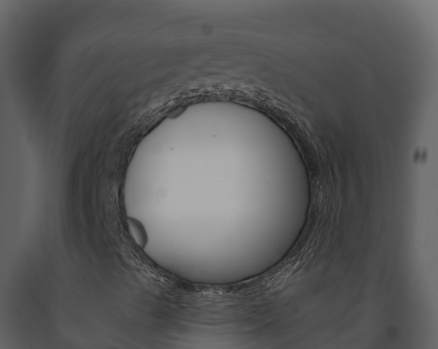X0000091721489200708241007