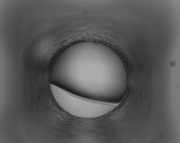 X0000091721490200708241007
