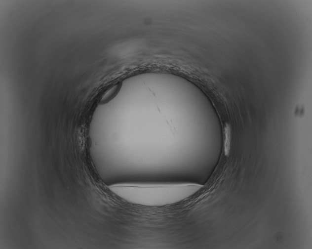 X0000091721491200708241007