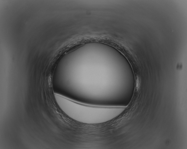 X0000091721492200708241007