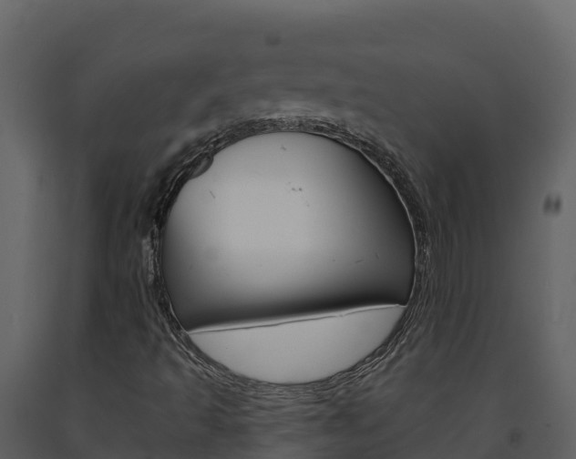 X0000091721493200708241007