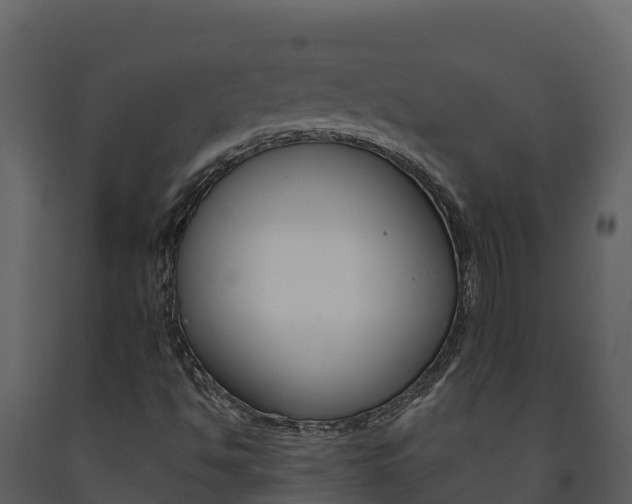 X0000091721494200708241007