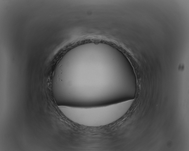X0000091721495200708241007