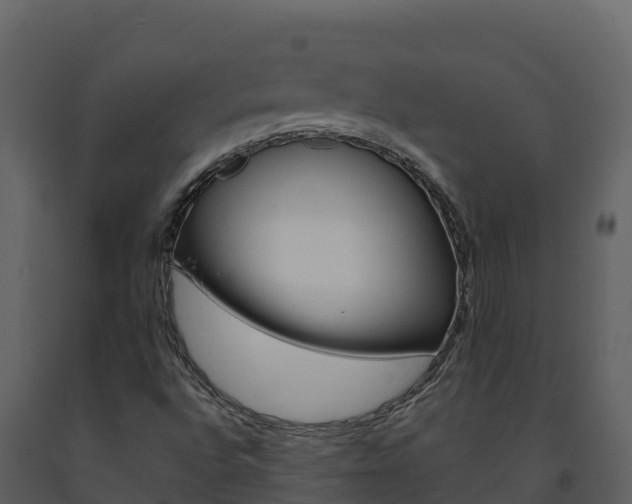 X0000091721496200708241007