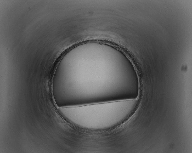 X0000091721497200708241007