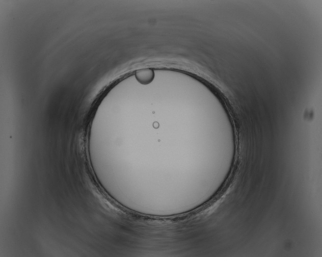 X0000091721498200708241007