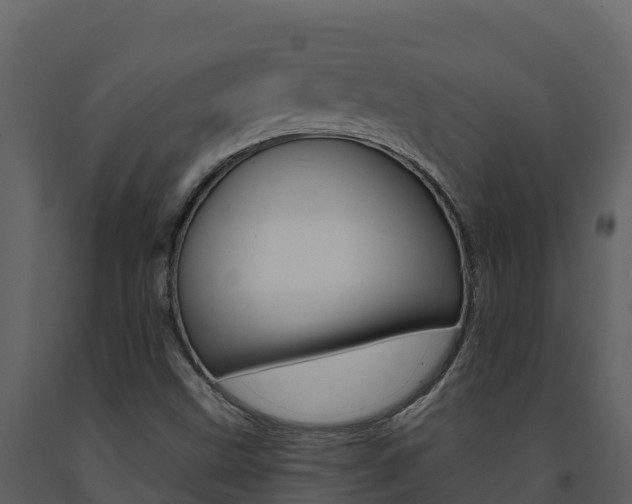 X0000091721499200708241007