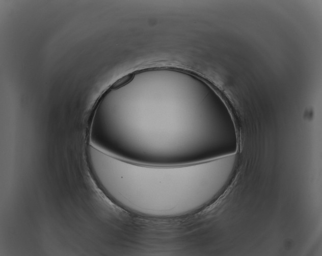 X0000091721500200708241007