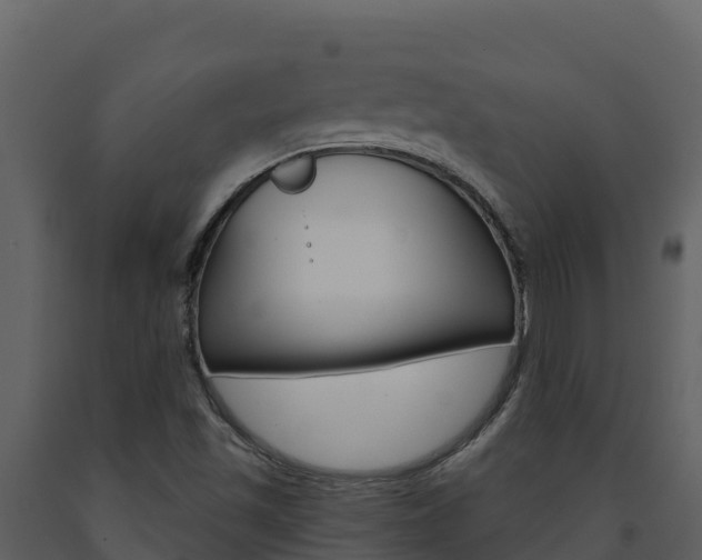 X0000091721501200708241007