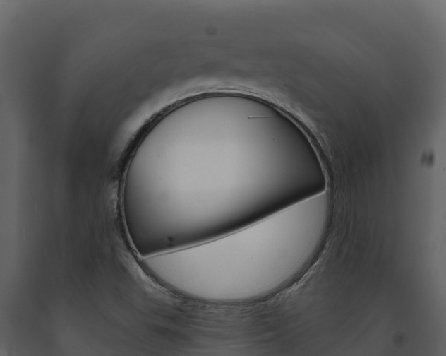 X0000091721503200708241007