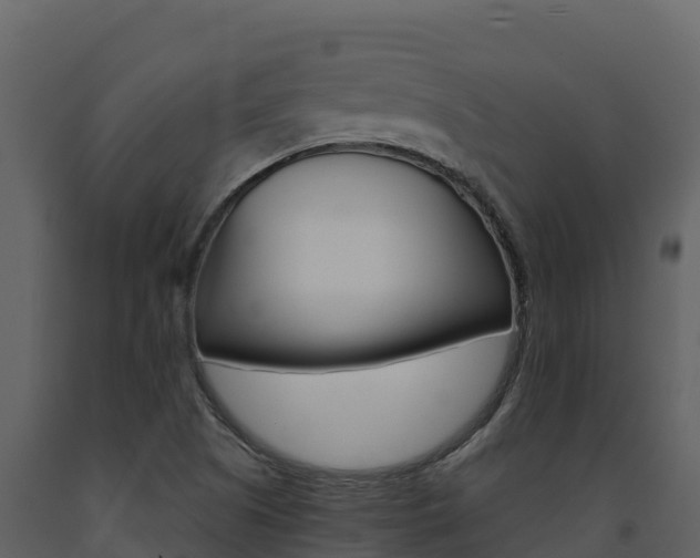 X0000091721505200708241007