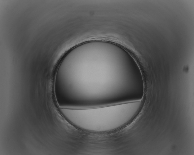 X0000091721506200708241007
