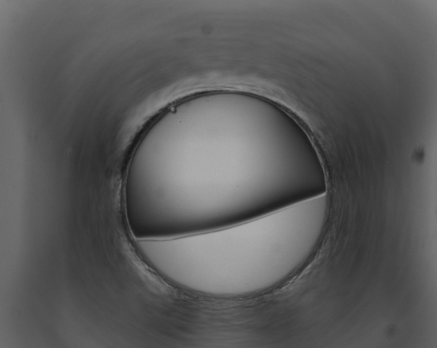 X0000091721507200708241007