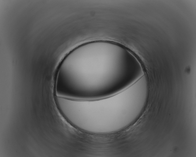 X0000091721508200708241007
