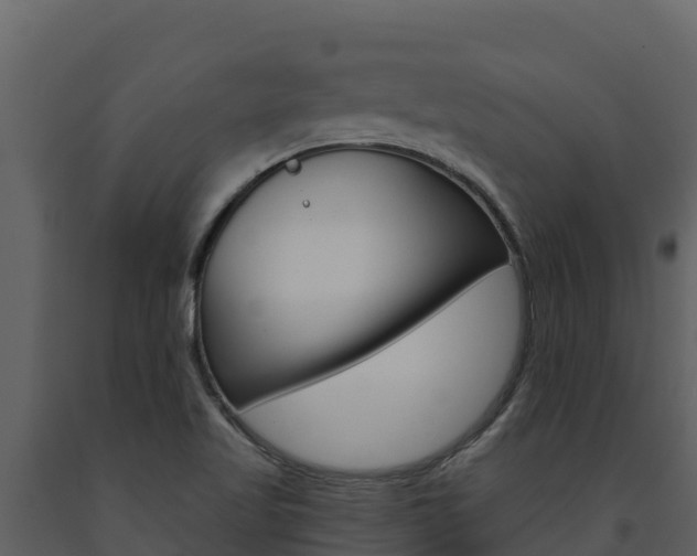 X0000091721509200708241007