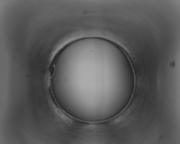 X0000091721510200708241007