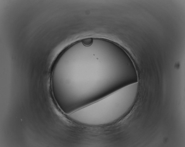 X0000091721511200708241007