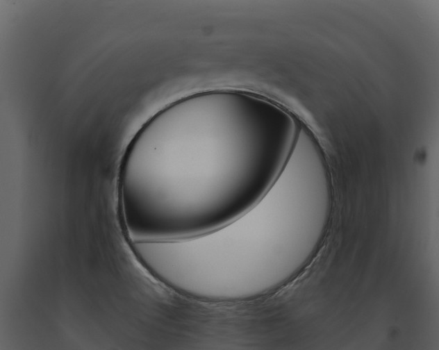 X0000091721512200708241007
