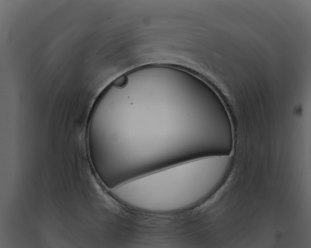 X0000091721513200708241007