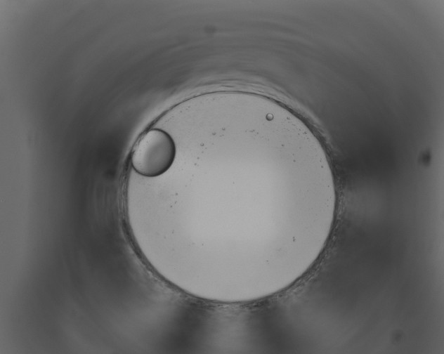 X0000091721514200708241007