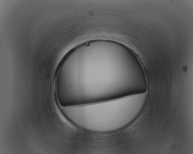 X0000091721515200708241007