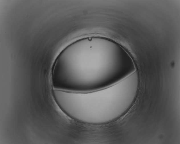 X0000091721516200708241007