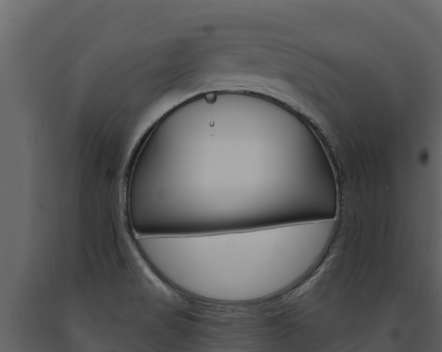 X0000091721517200708241007