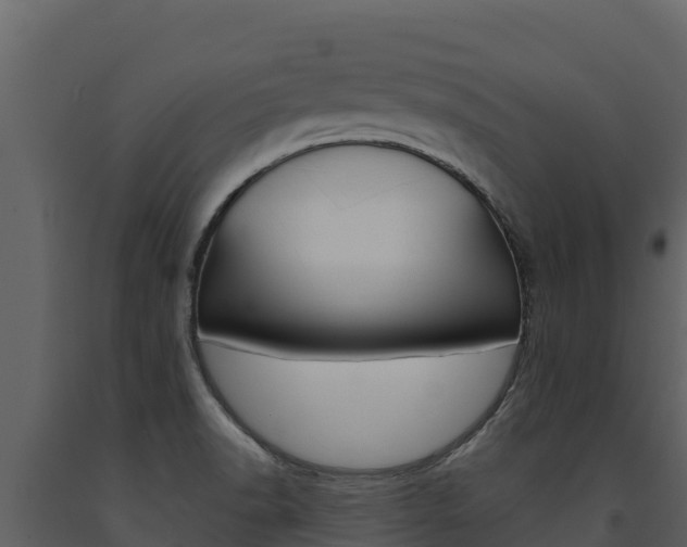 X0000091721518200708241007