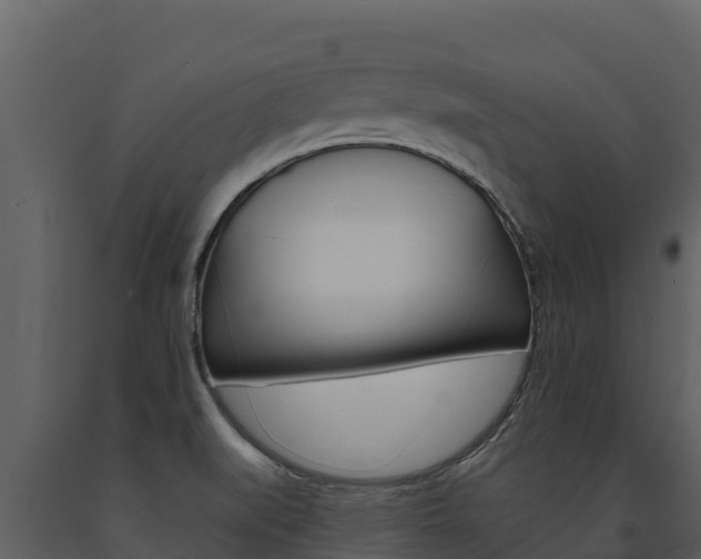 X0000091721519200708241007
