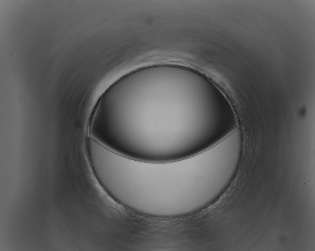 X0000091721520200708241007
