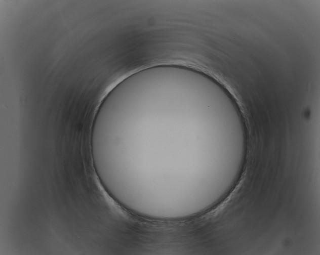 X0000091721521200708241007