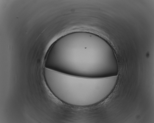 X0000091721522200708241007