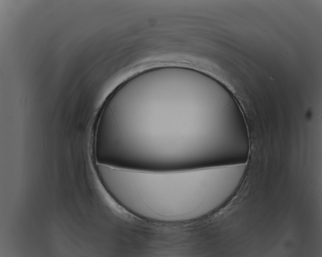 X0000091721523200708241007