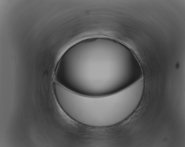 X0000091721524200708241007