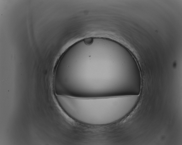X0000091721525200708241007