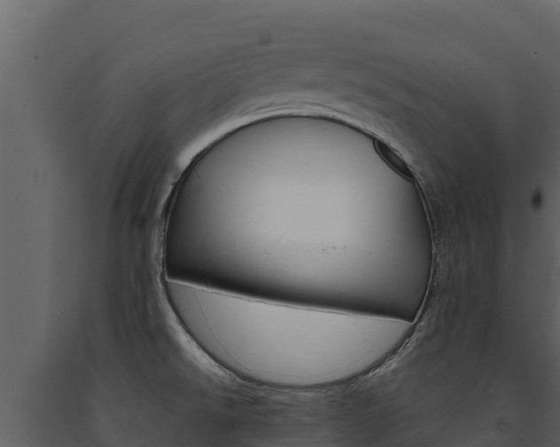 X0000091721526200708241007