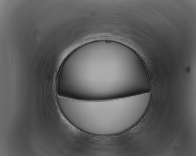 X0000091721527200708241007