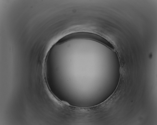 X0000091721528200708241007
