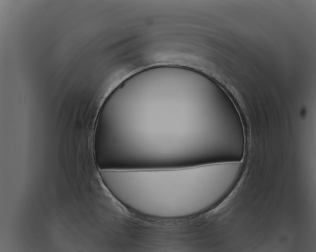 X0000091721529200708241007