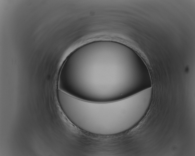 X0000091721530200708241007